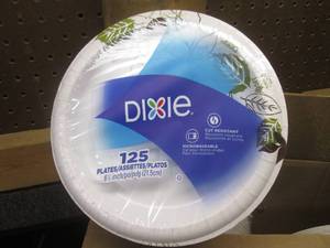 (II) Case of 500 Dixie 8 12 Paper Plates - 4 Packs of 125