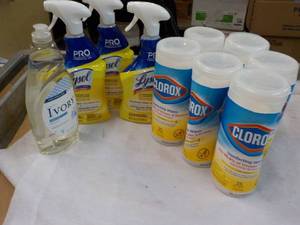 Lysol All Purpose Cleaner, Clorox Disinfecting Wipes and Dish Soap