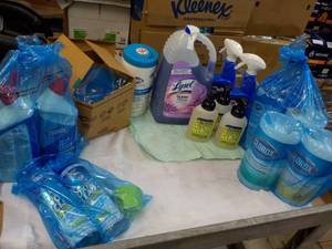 Random Lot of Household and Industrial Cleaners