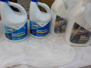 Clorox Bleach and Urine Remover