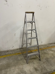 lot 31 image: 6 Aluminum Ladder
