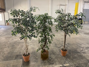 lot 54 image: 3 Artificial Trees