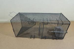 lot 135 image: Metal Minnow Trap
