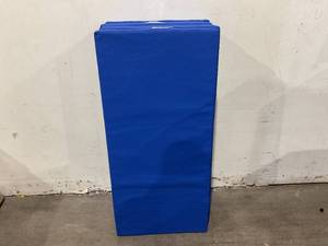 lot 250 image: LOT OF 6 24x48 Blue Gym Mats