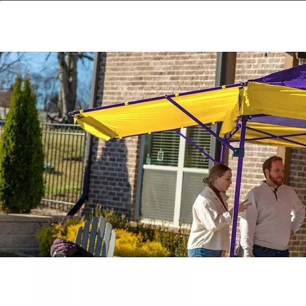 lot 234 image: NEW Logo Brands Officially Licensed Minnesota Vikings 10 x 10 Canopy with Exterior Wall