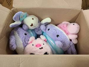 lot 148 image: Box of super cute plushy stuffed animals, very soft