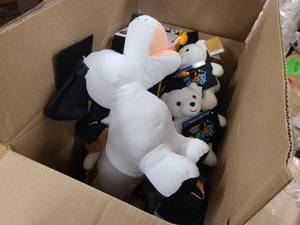 lot 150 image: Box of Graduation themed gifts and items