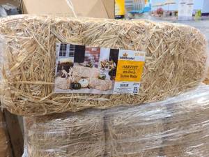 lot 189 image: 4 Bales of plastic wrapped straw hay bales for decor or for yard coverage