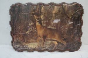 lot 89 image: Deer Picture