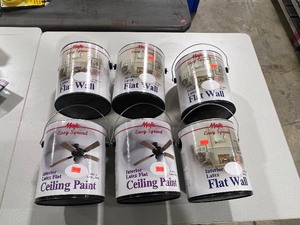 lot 40 image: 6 GALLONS OF PAINT