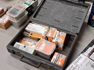 lot 447 image: Plastic Carry Case with Assorted Brads, Finish Nails