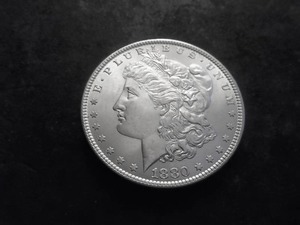 1880 Morgan Silver Dollar