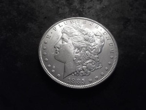 1885 Morgan Silver Dollar