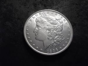 1896 Morgan Silver Dollar