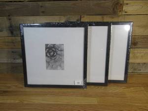 lot 14 image: Lot of Three 16 in x 16 in Black Matted Picture Frame for 5 in x 7 in photo
