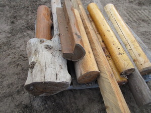 lot 50 image: ALL Cedar Posts, Tree Branch