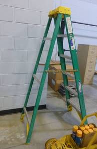 Werner 6 ft ladder
