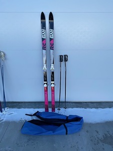 lot 73 image: Elan Downhill Skis and Poles