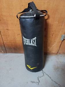 lot 61 image: Everlast Punching Bag