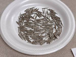 lot 560 image: Lot of  Misc. Carving Drill Bits