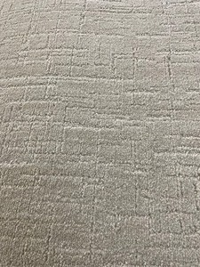 162 SF of Cut Loop Carpet Rem 9x18
