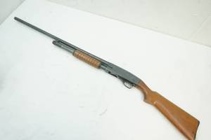 Western field  model an