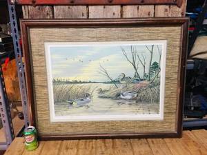 Vintage John MacLeod Waterfowl Print - 1978