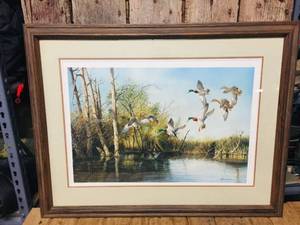 Richard Plasschaert Mallards Print - Framed Moonan Marsh