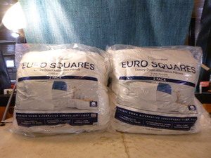 2 Packs of 2 Euro Squares Pillows
