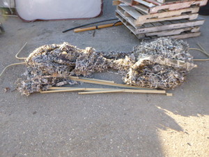 Duck Blind