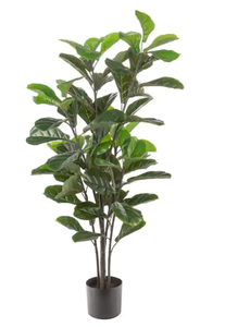 lot 98 image: Naturae Decor Artificial 57 in. Fiddle Leaf Indoor and Outdoor Plants Model # OUT-FIDDLE-57BC UPC Code # 775110900228 NEW
