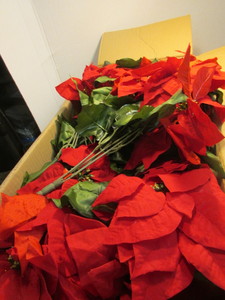 lot 22 image: Christmas Lot
