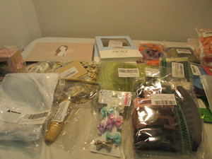 lot 69 image: Womens Accessory Lot