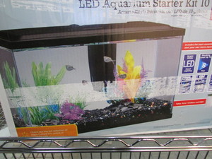 lot 136 image: Aquarium
