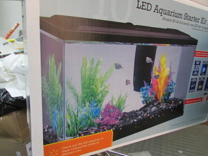 lot 144 image: Aquarium
