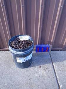 lot 112 image: Pail of 8.25 x 22.5 snow chains. As shown.