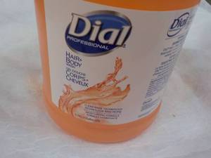 lot 43 image: Dial 1 Gallon Hair and Body Wash
