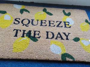 lot 68 image: Threshold Door Mat 18 x 30 Squeeze The Day