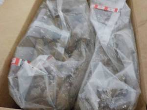 lot 383 image: H 10 lb. Box Frozen Turkey Breakfast Sausage Links