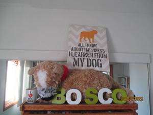 Large Stuffed Dog with mug and other decor