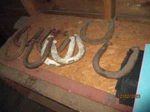 Total of 8 vintage Metal horseshoes (no posts)