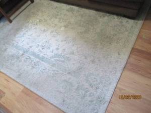 57 sage and ivory colored floral area rug (in need of a good cleaning)