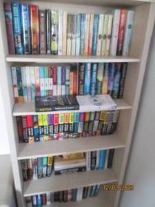 All novels and books by Nora Roberts, J.D. Robb and other authors on shelving unit (NOT including shelf)