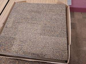 lot 87 image: Carpet Square wTransition Strips
