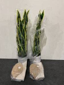lot 157 image: Leaf Artificial Tropical Snake Plant