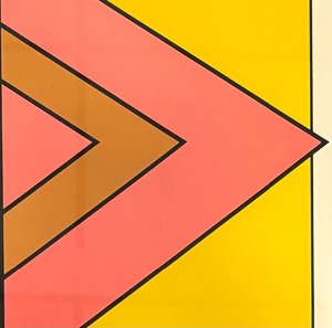 lot 228 image: Arrowhead Limited Edition Framed Print by John Delulio