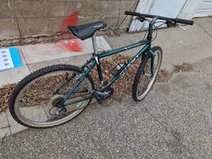 Iguana Giant mountain bike...