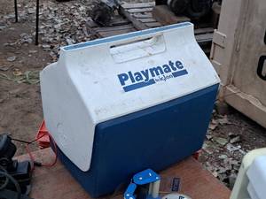 lot 773 image: Igloo Playmate Personal Cooler