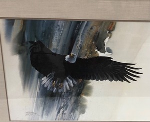 Large Framed Signed Numbered Morten Solberg Eagle Print