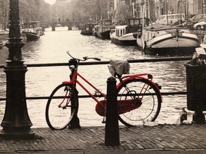 LARGE Framed Ikea Wall Hanging Black &amp White Scene wRed Bicycle